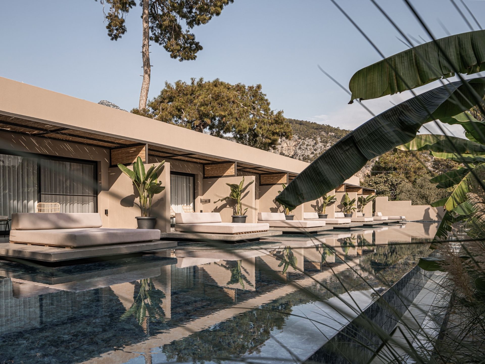 Balmy Hotels - balmyhotels.com