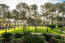 Harmony with Nature;